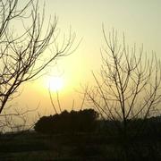 子暄的个人资料头像