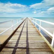 原来是猴子啊的个人资料头像