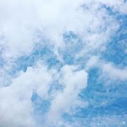 iRex__的个人资料头像