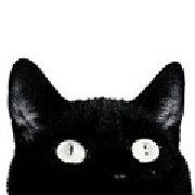 mao眼的个人资料头像