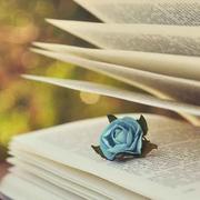 玩积木的小码农的个人资料头像