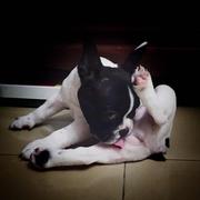 Mei5760的个人资料头像