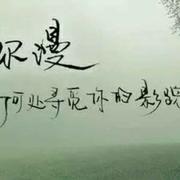 自由自在的个人资料头像