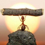 AssKicking的个人资料头像