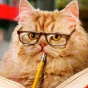 jkin的个人资料头像