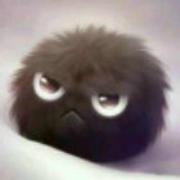 jsonm11867的个人资料头像