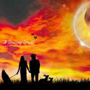 路人罗的个人资料头像