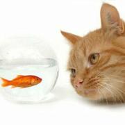 海利的个人资料头像