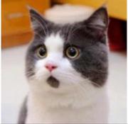 Teck的个人资料头像