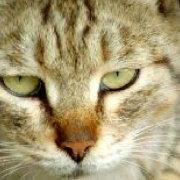 Eveningme的个人资料头像