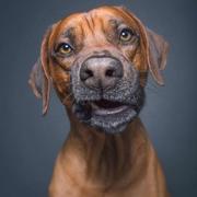 和冬的个人资料头像