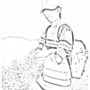 Jason_zhan6998的个人资料头像