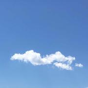 龙洋的个人资料头像