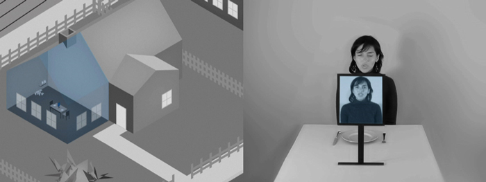 videoalteration