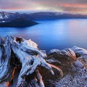 dhl006009的个人资料头像