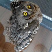 BuiltStone_徐峰的个人资料头像