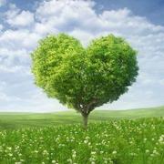 小檬儿22的个人资料头像