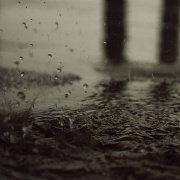 ChaosLeong的个人资料头像