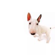 Think5554的个人资料头像