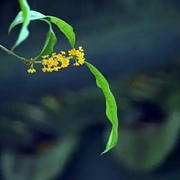 usui的个人资料头像