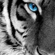 星空1475894076000的个人资料头像