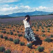 小娘的个人资料头像