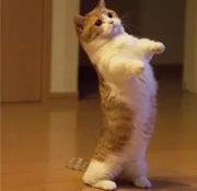 周良才的个人资料头像