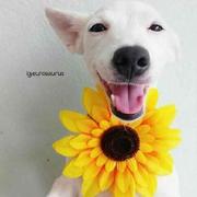 ai你呦的个人资料头像