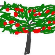 Route77的个人资料头像