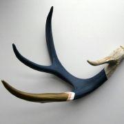 柠爵爷的个人资料头像