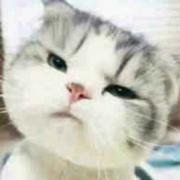 b2lm4t8t4dt4o9mkk6q2pio8n的个人资料头像