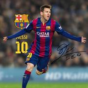 冯宇天的个人资料头像