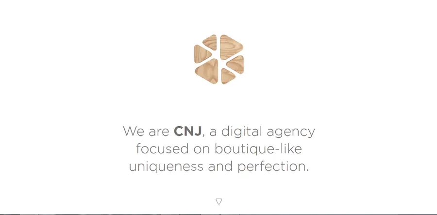 CNJ-Agency
