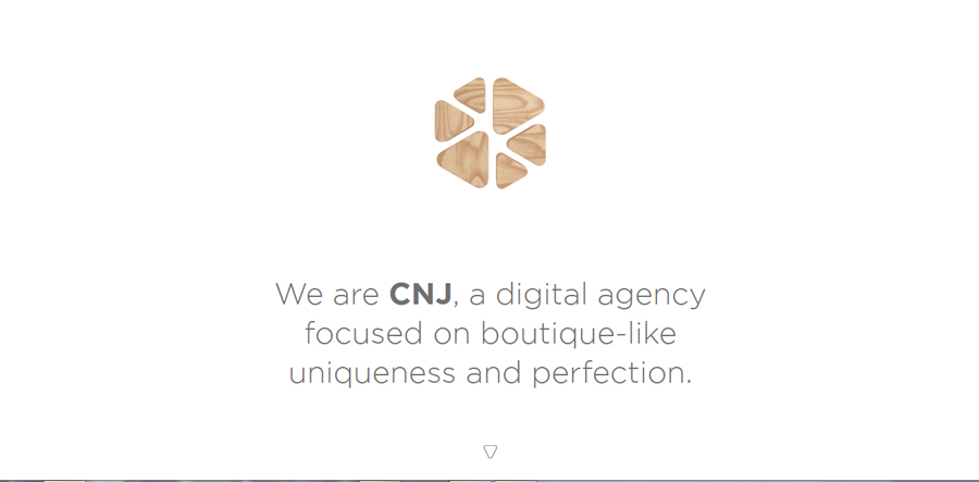 CNJ-Agency