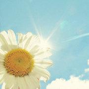 阳光无语_sprin的个人资料头像