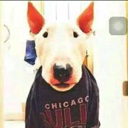 陈信乐的个人资料头像