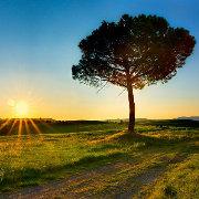 PHENG77的个人资料头像