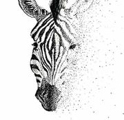 shinolr的个人资料头像