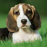 tp1477311441040的个人资料头像