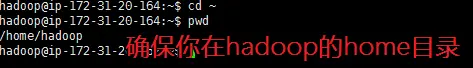 确保在hadoop用户home目录