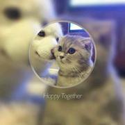 素笺淡墨的个人资料头像