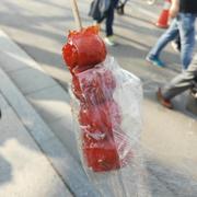 虾虾的个人资料头像