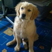 亦步亦趋的个人资料头像