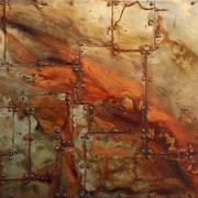 尧的个人资料头像