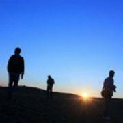 跟云舒大哥去创业的个人资料头像