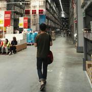 LeeAng的个人资料头像