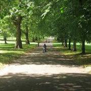 也枉然_的个人资料头像