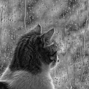 dongfo的个人资料头像