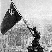 2016安明宇的个人资料头像