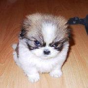 我的名字正好九个字的个人资料头像